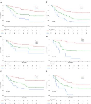 Modified Systemic Inflammation Score Is an Independent Predictor of Long-Term Outcome in Patients Undergoing Surgery for Adenocarcinoma of the Esophagogastric Junction